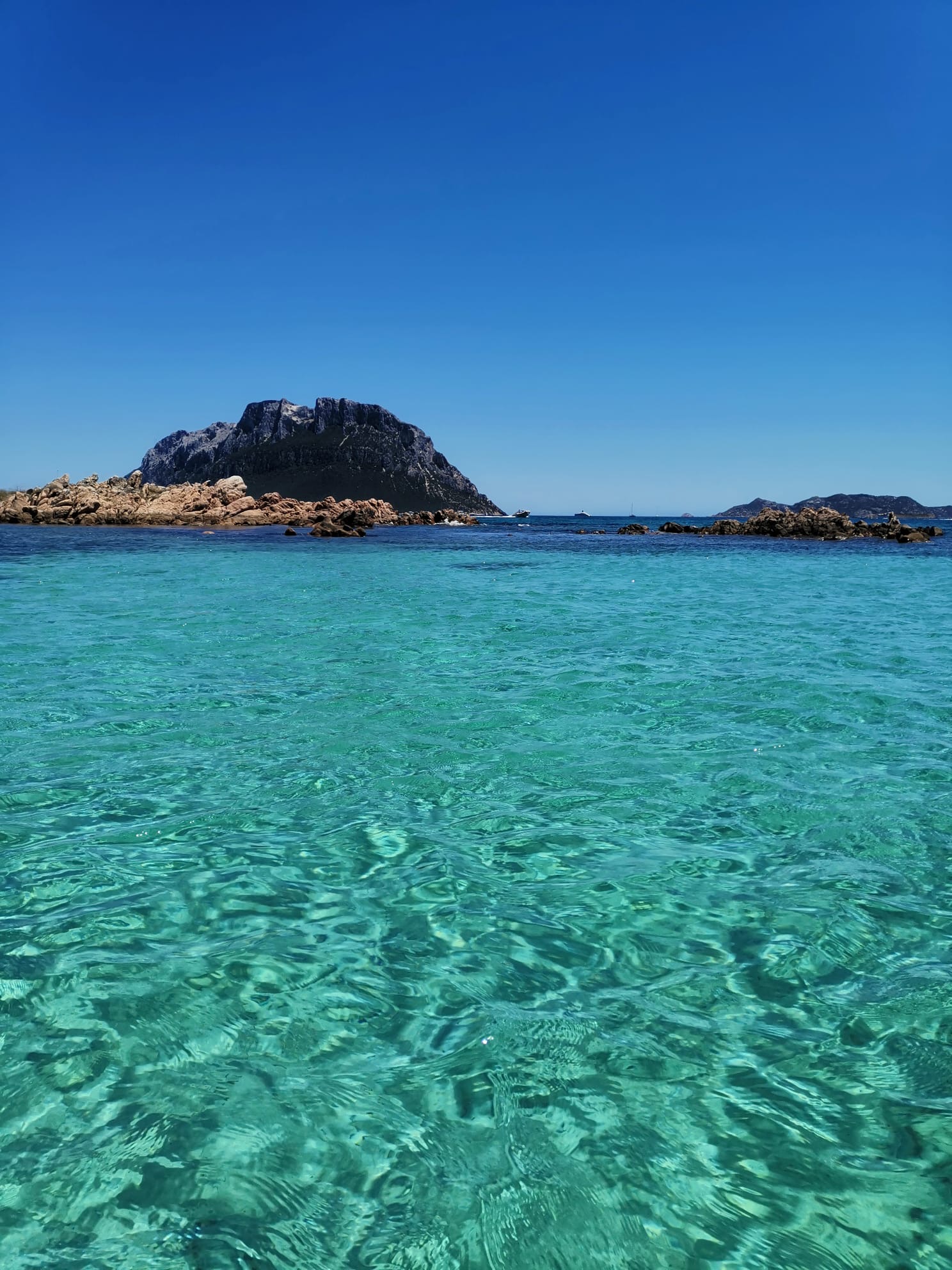 MARI Sea Charters di Ivan Rasenti
